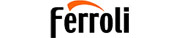 ремонт дизельных котлов ferroli